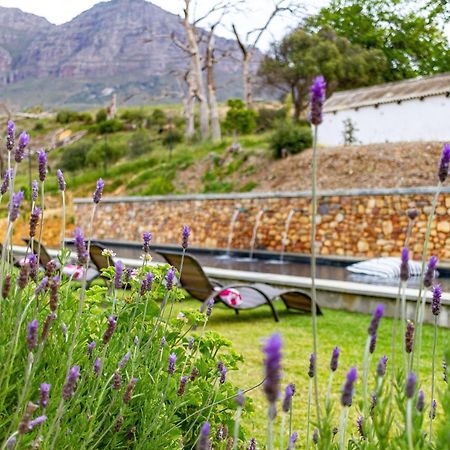 Plaisir Estate Accommodation Simondium Εξωτερικό φωτογραφία
