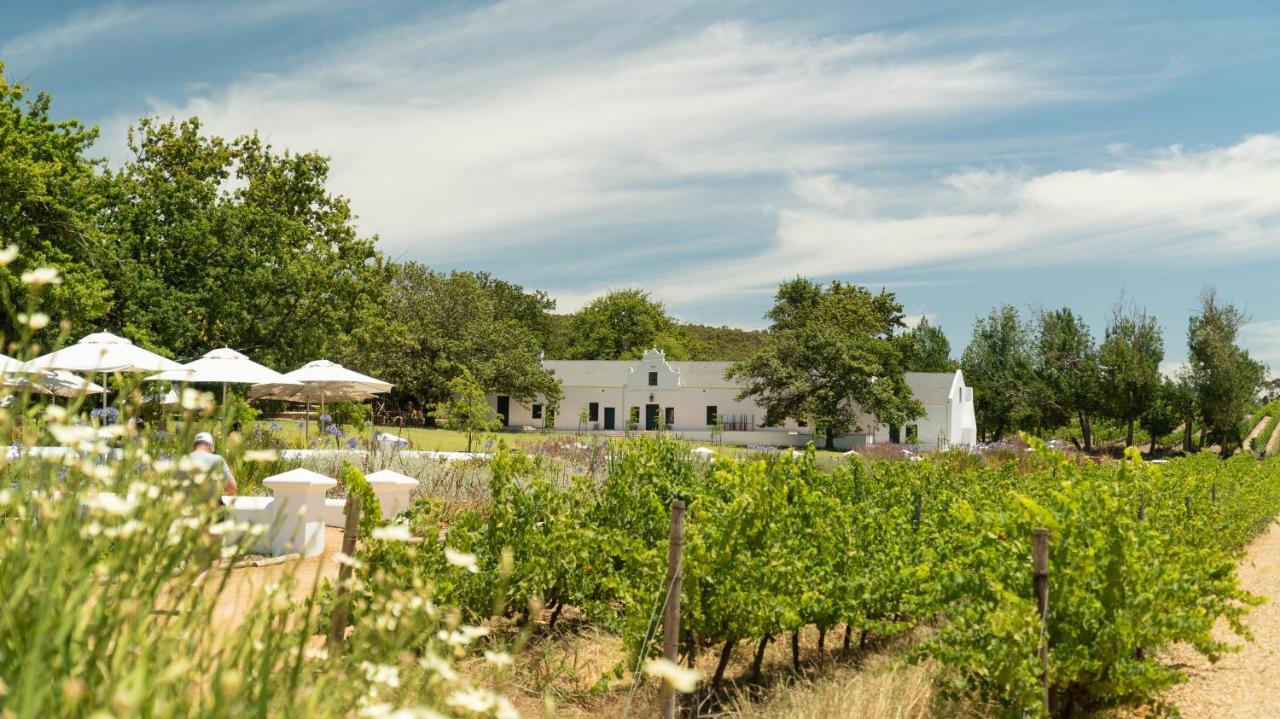 Plaisir Estate Accommodation Simondium Εξωτερικό φωτογραφία