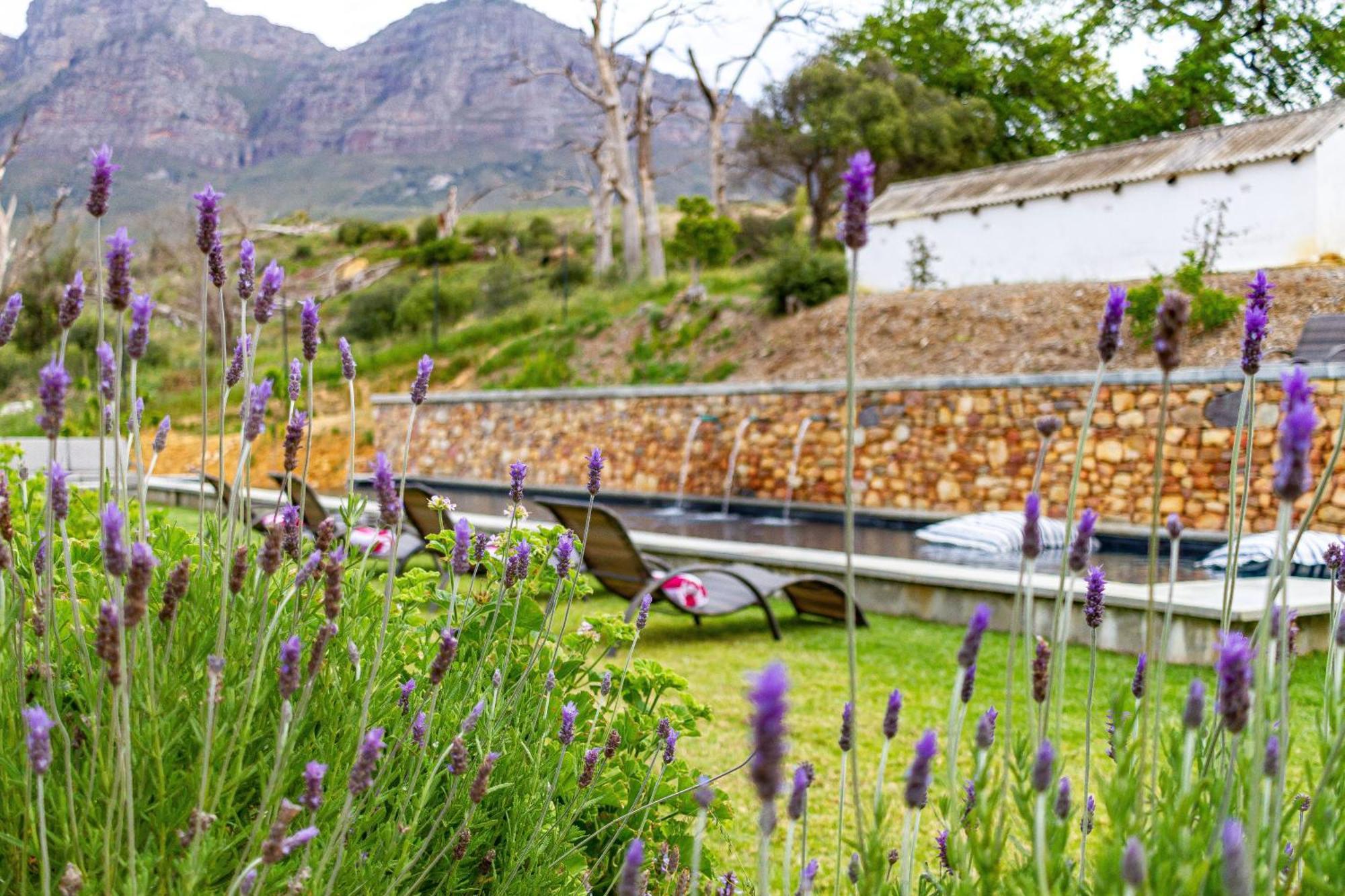 Plaisir Estate Accommodation Simondium Εξωτερικό φωτογραφία